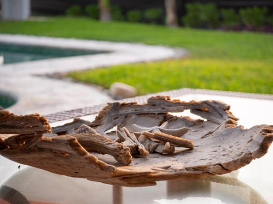 Villa De Las Rocas بويرتو إسكونديدو المظهر الخارجي الصورة