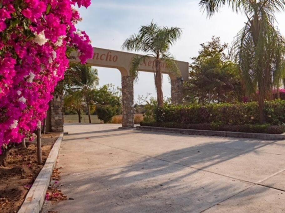 Villa De Las Rocas بويرتو إسكونديدو المظهر الخارجي الصورة