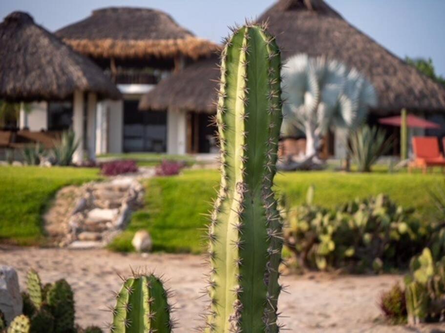Villa De Las Rocas بويرتو إسكونديدو المظهر الخارجي الصورة